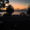 takemetomywonderland avatar