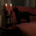 takemetotherapy444 avatar