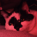 takenbytheriver avatar