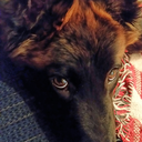 takenbyvalkyrie avatar