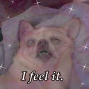 takethoseshots avatar