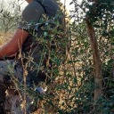 takeyourtime72 avatar