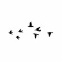 taking-breaths11 avatar