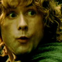 takingthehobbitstoisengard-blog avatar