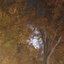 takingthelowroad avatar