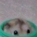 takingthewholedayoff avatar