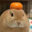 takishi-burrgr avatar