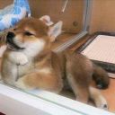 talanoldugencligim avatar