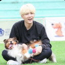 taleasnew-recs avatar