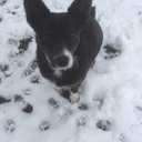 tales-from-a-golden-pen avatar