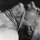 tales-of-cynicism avatar