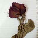 tales-of-togetherness avatar