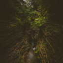 talesfromatrii avatar