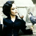 talesofadventureandtea-blog avatar