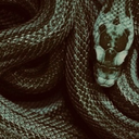 talesofserpentsandloch avatar