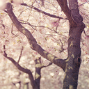 talesoftheeast avatar