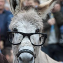 talia-nightray avatar