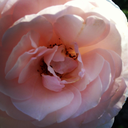 talking2noone avatar