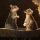 talkingaboutbruno avatar