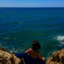 talkingelephant avatar