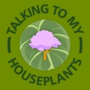 talkingtomyhouseplants avatar