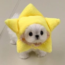 talksabouttheshows avatar