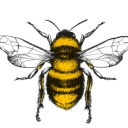 talktotheanimals avatar