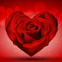 tall-dark-and-winged avatar