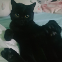 tall-idiot-that-can-draw avatar