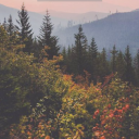 tall-n-awkward-girl avatar