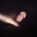 tallandhard69 avatar