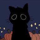 tallerthanthetwinyards avatar