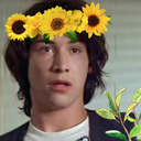 tallglassofchickennugget avatar