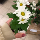 tamamdasananoluyo avatar