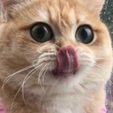 tambirarizaliblog avatar