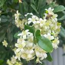 taminteresting avatar