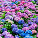 tamlinmybeloved avatar