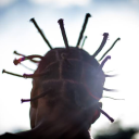 tamo-na-ativa avatar