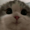 tancookietacular avatar