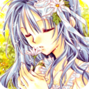 tanemuraarina avatar