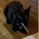 tang1blechaos avatar