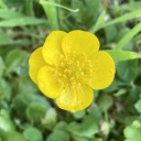 tangentsandbubbles avatar