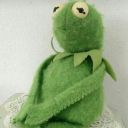 tangerine-baby avatar