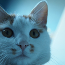 tangerinedr avatar