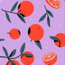 tangerinelabyrinth avatar