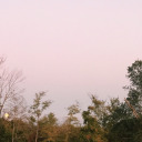 tangerinemoons avatar