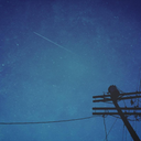 tangled-powerlines avatar