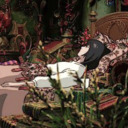 tanglewood-roses avatar