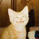 tangor-andrena avatar