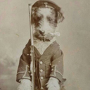 tankdestruction avatar